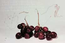 Uvas I